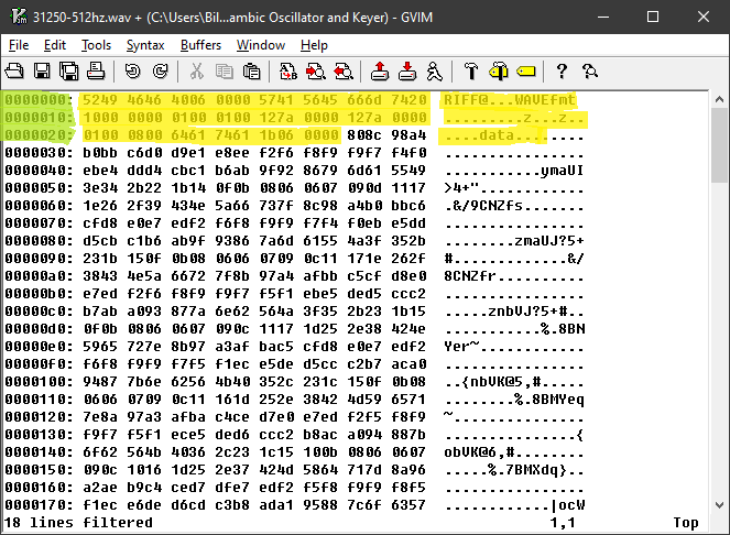Header portion of wave file highlited.
